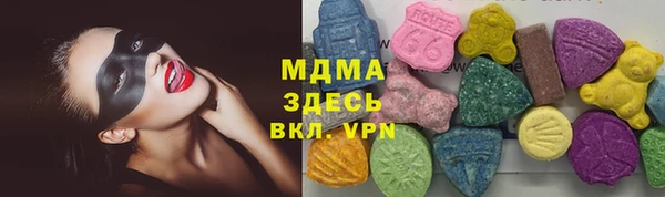 гашик Богородск