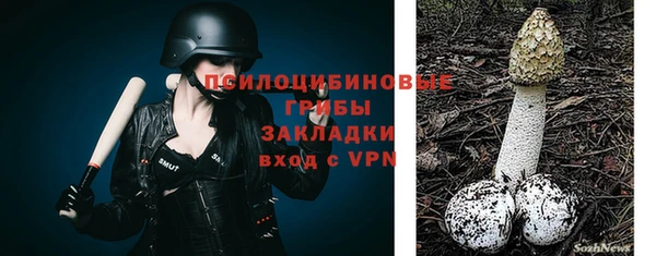 гашик Богородск