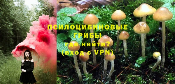 гашик Богородск
