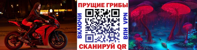продажа наркотиков  ссылка на мегу рабочий сайт  Галлюциногенные грибы Magic Shrooms  Ессентукская 